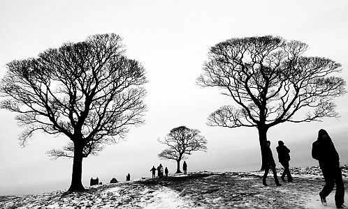 Daily Science Fiction art for May 2013 by Eleanor Bennett